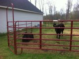Cattle Livestock Panels (Oval Rail Panels) (XMD008)