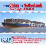 Ocean Shipping Freight Service From China to Cuba