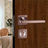 Expert Manufacturer of Security Door Lock (FDL77N)