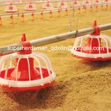 Automatic Poultry Farming Equipment for Broiler