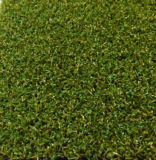 Artificial Turf for Golf Course (CPG-10PP)