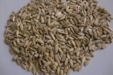 Sunflower Kernels with High Quality