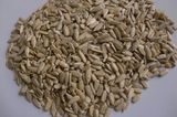 Sunflower Kernels with High Quality