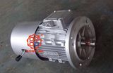 Electric Brake Motor (YEJ2-(63~225))