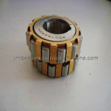 Overall Eccentric Bearing (300752904)