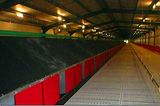 Automatic Egg Collecting System
