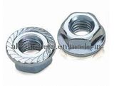 Serrated Flange Lock Nut