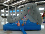 Inflatable Slide Fireproof Inflatable Sports Games (SL-0103)