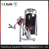 Tz-6046 Biceps Machine Gym Use Fitness Machine for Wholesale