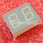 Dual Digits 7 Segment LED Display