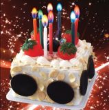 12 Color Flame Birthday Candles