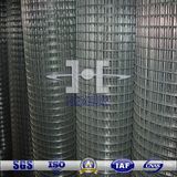 Galvanized Welded Wire Mesh