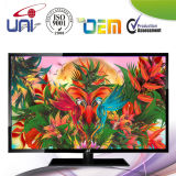 Uni 39-Inch Good Quality Display E-LED TV