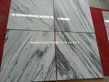 Chiense Natural Stone of Oriental Whie Tile Marble