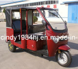 E Tricycle /Electric Rickshaw / Electric Tricycle (HJ-TRI9)