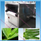 Cactus Washer and Cleaning Machine/Aloe Vera Processing Machine