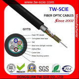 24 Core Manufacturer Armored Optical Fiber Cable with Corning G652D GYTS