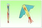 Double-String Stunt Kite