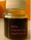 Besta