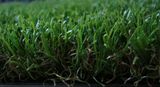 Synthetic Grass /Artificial Turf (GW203814-3)