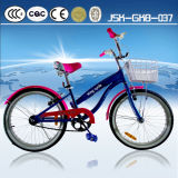 King Cycle Kids Exercise Bike for Girl From China Manufacturer