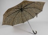 Fashion Foldable Lady Umbrella (BR-FU-23)