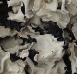 A1.Dried Black & White Fungus (bulk)