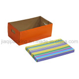 Paper Shoe Box with SGS (CX-113)