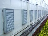 50' Greenhouse Exhaust Fan