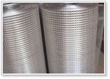 304 Stainless Steel Welded Wire Mesh