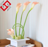 Artificial Calla Lily, Hot Selling Home Decor Flower From China