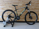 Fast Mountain Bicycles with Great Quality