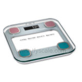 Body Fat Scale (TGF-304) 