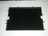 LCD for iPad