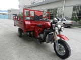 Cargo Tricycle (PM250ZH-4)