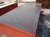 Brown Film Faced Plywood for Construction