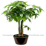 Artificial Fake Plants /Artificial Pachira Macrocarpa