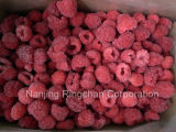 Frozen Raspberry Frozen/IQF Fruit IQF Raspberry