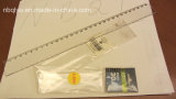 Students Ruler Xf1308 in Stationery Office Supplies