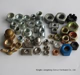 Hex Nut Flange Nut Spring Nut and Nylon Nut