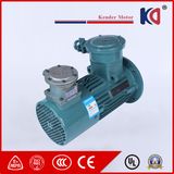 Explosion Proof AC Electric Motor Apply for Coalmine Winch