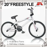 20 Inch BMX Freestyle Bicycle (ABS-2020S-1)