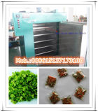 Multi-Function Fruit and Vegetagle Drying Machine