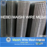 (Direct Factory) Welded Wire Mesh 50X50mm