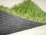 Landscaping Artificial Turf (TMCT40)