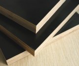 High Grade Film Faced Plywood (FFP-HU0102b)