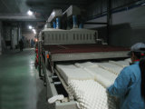 Automatic Latex Foam Mattress and Pillow Plant