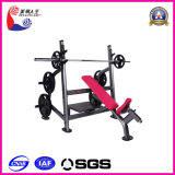 Olympic Incline Bench Gym Commercial Fitness Equipment