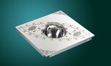 Interior Ceiling Lighting