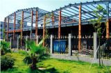 Large Span Steel Structure Prefabricated Building